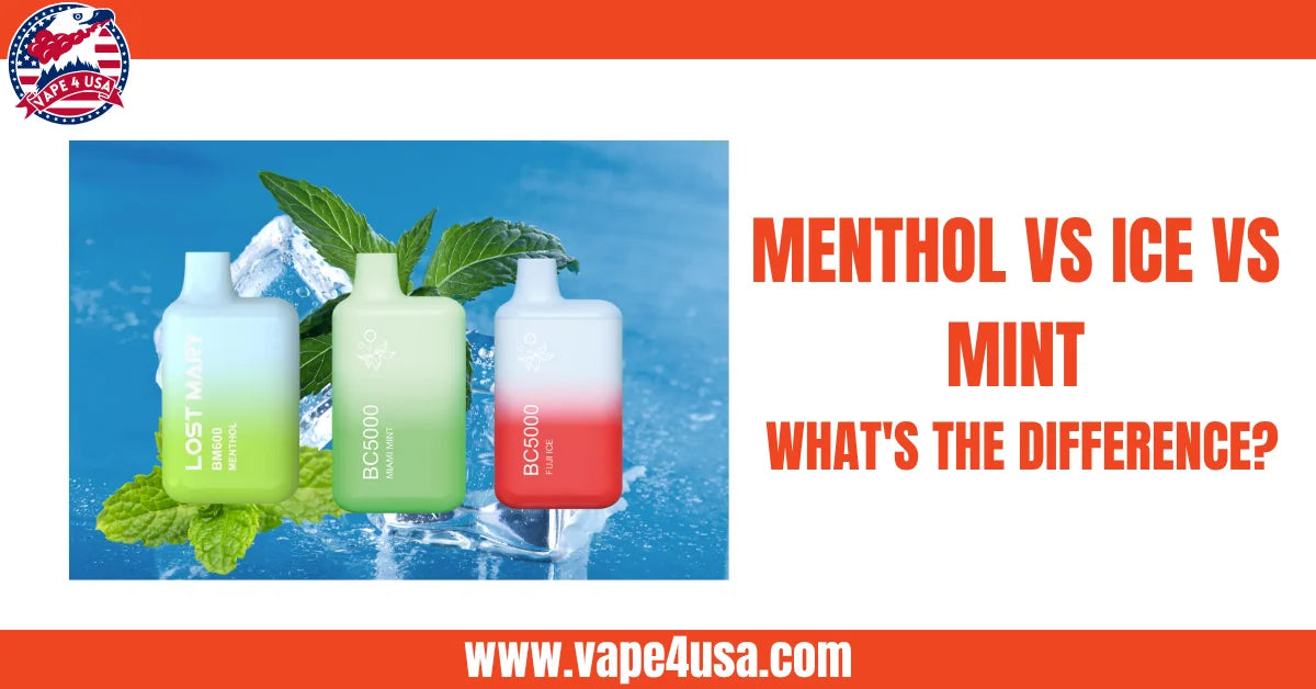  is menthol mint