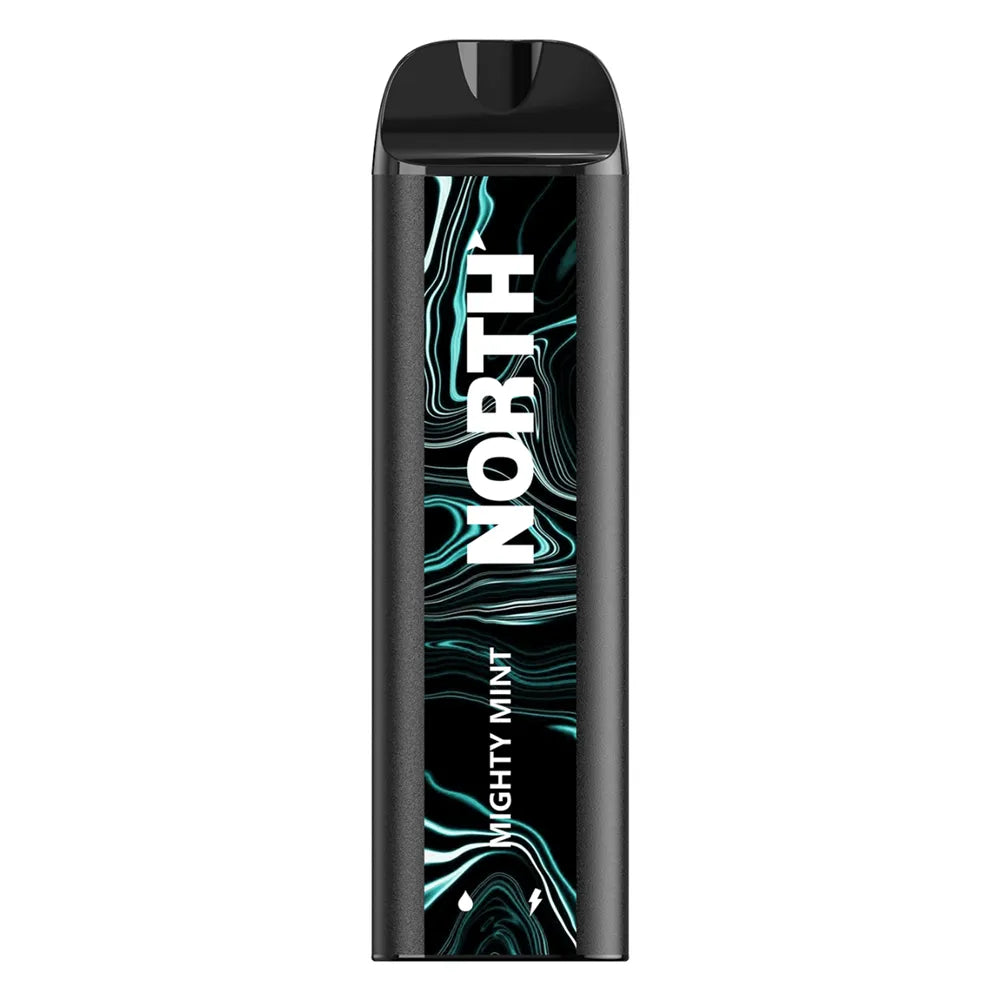 North 5000 Vape Mighty Mint